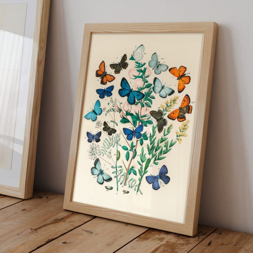 Butterflies and Moths Illustration - Image 5
