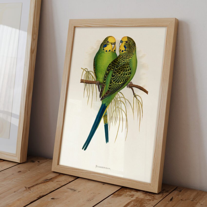 Budgies by Alexander Francis Lydon - Image 2