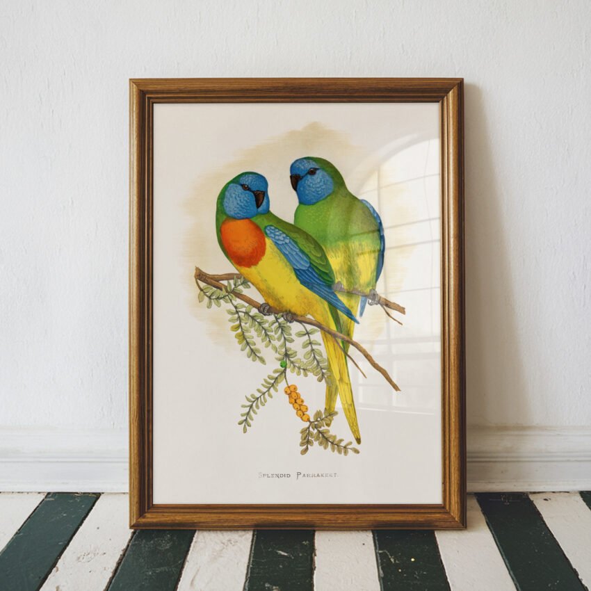 Splendid Parakeet by Alexander Francis Lydon - Image 3