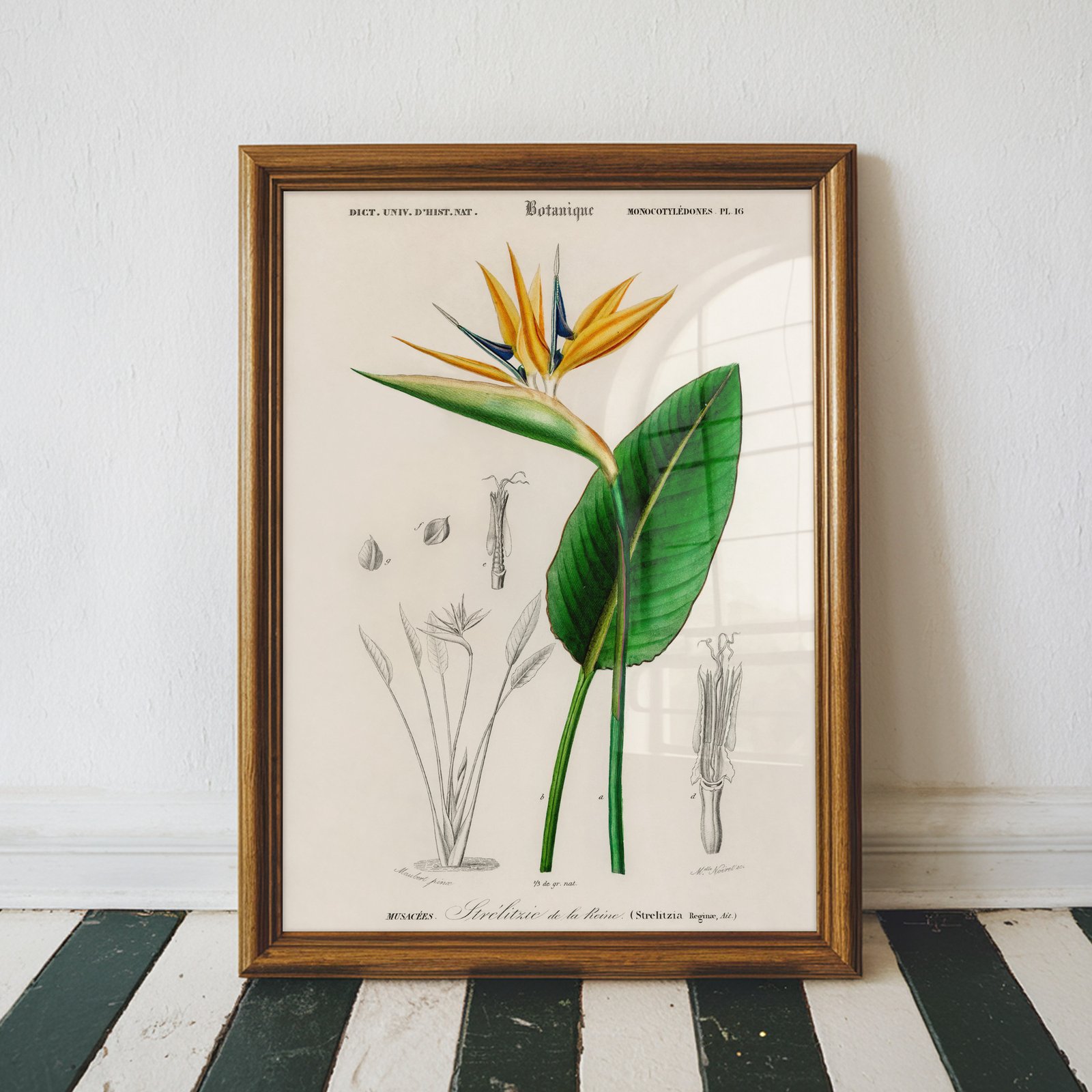 Frame Mockup 25 by Sunhund copy