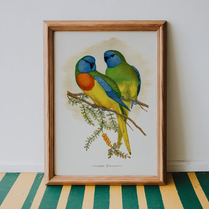 Splendid Parakeet by Alexander Francis Lydon - Image 5