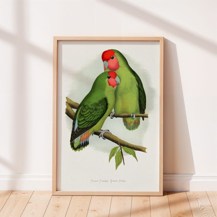 Rosy Faced Love Birds by Alexander Francis Lydon - Image 2