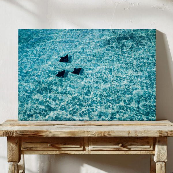 Rays In The Ocean