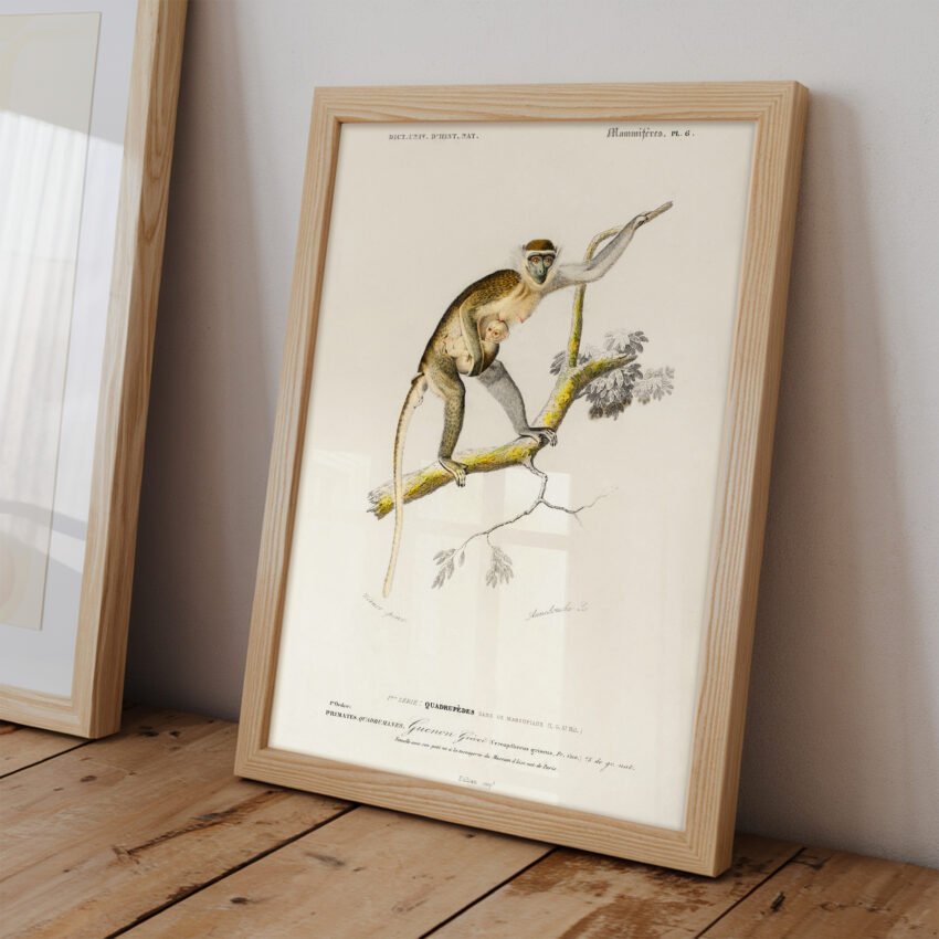 Monkey Family Vintage Illustration - Image 2