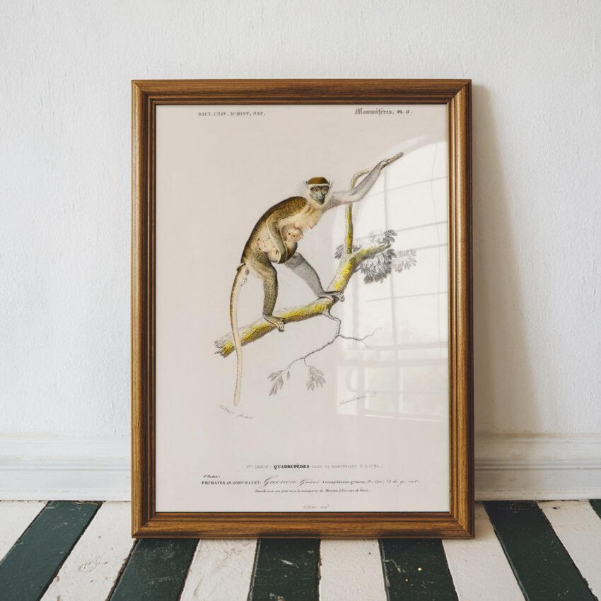 Monkey Family Vintage Illustration - Image 4