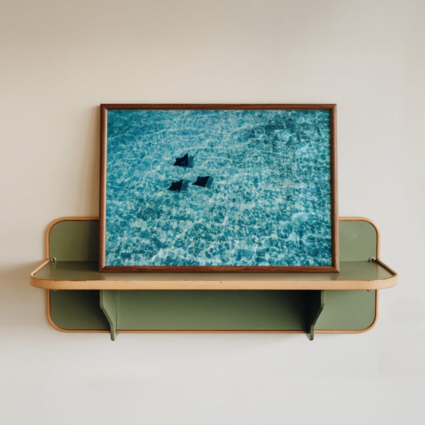 Rays In The Ocean - Image 4
