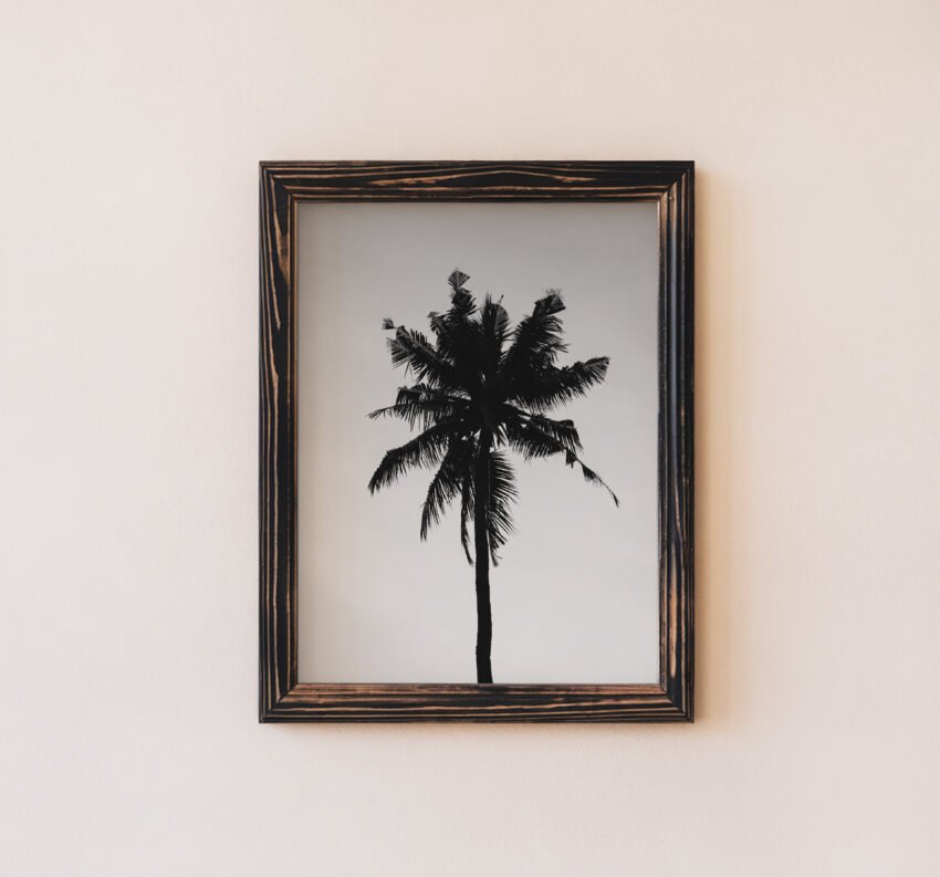 Black and White Palm Tree - Image 6