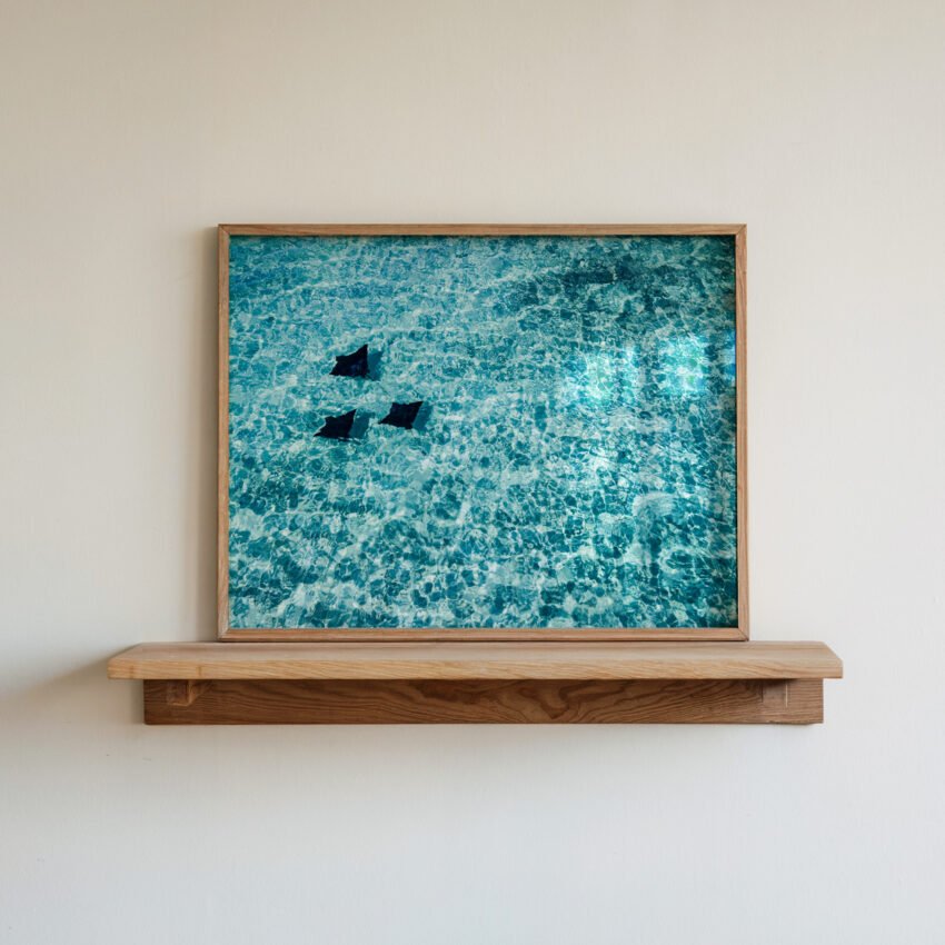 Rays In The Ocean - Image 2