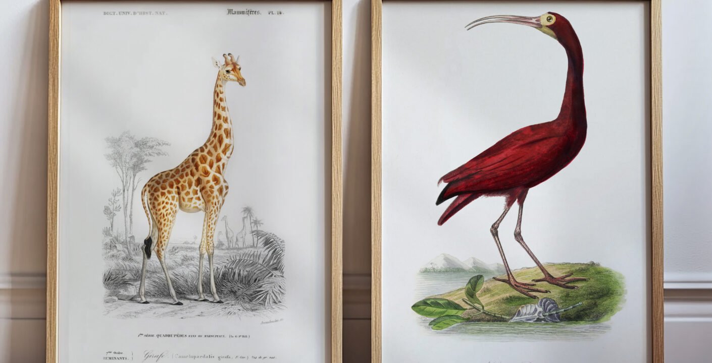 Nature Wall Decor