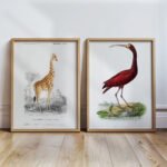 Nature Wall Decor