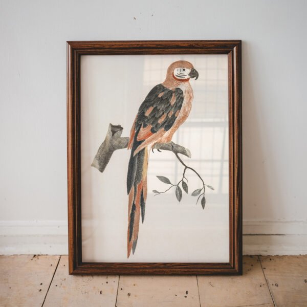 A Parrot on a Branch by Johan Teyler