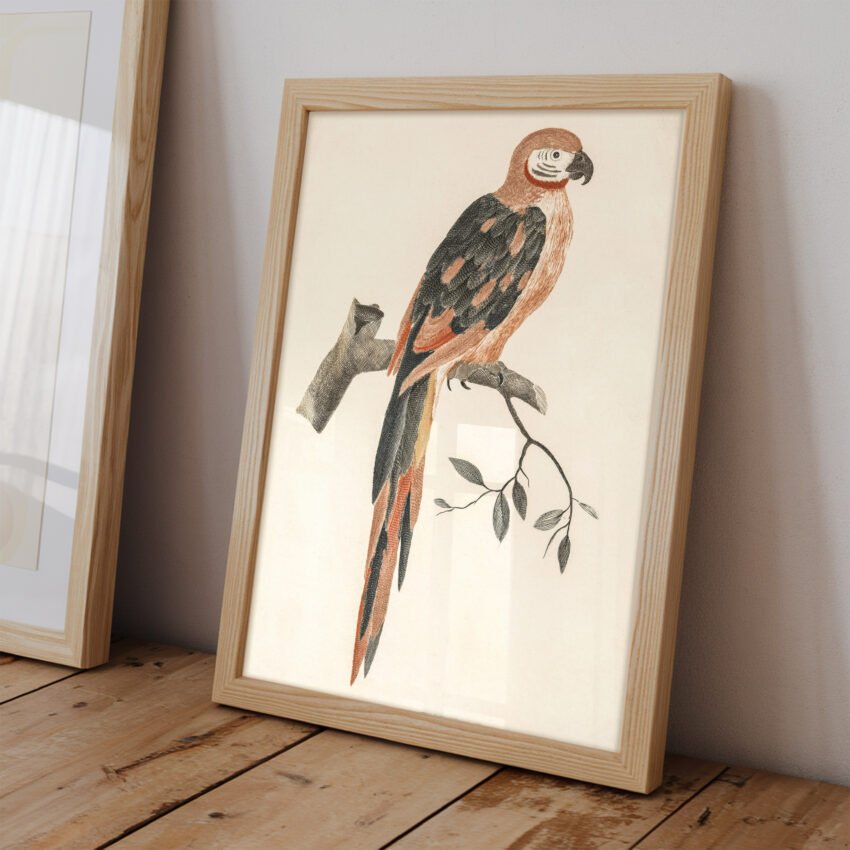 A Parrot on a Branch by Johan Teyler - Image 2