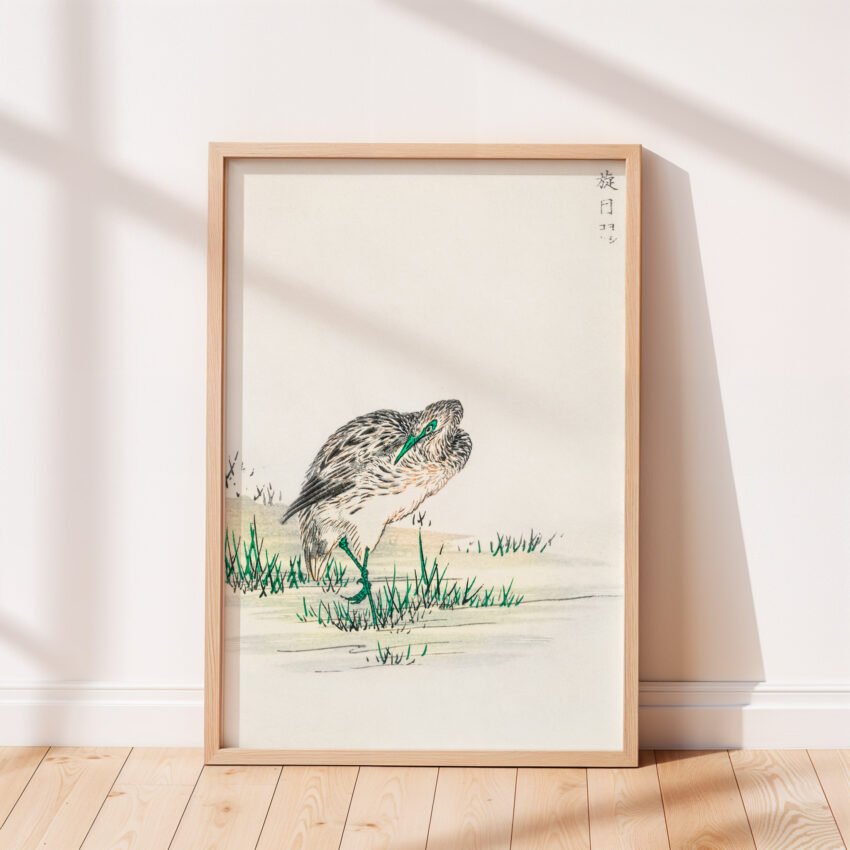 Chinese Little Bittern by Numata Kashu