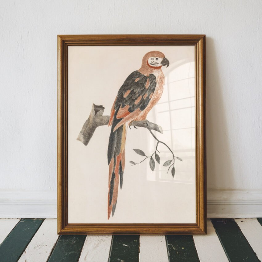 A Parrot on a Branch by Johan Teyler - Image 3