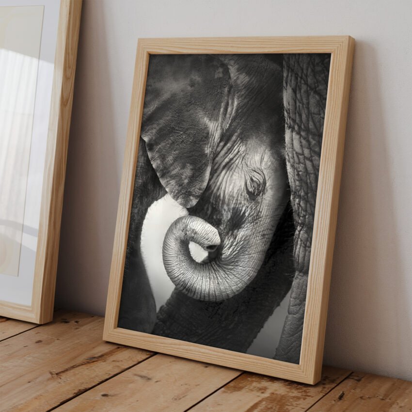 Gentle Giants – Black and White Elephant Wall Art Print - Image 2