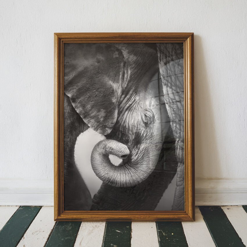 Gentle Giants – Black and White Elephant Wall Art Print - Image 3