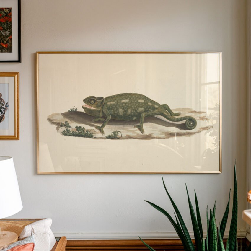 Chameleon by Luigi Balugani - Image 2