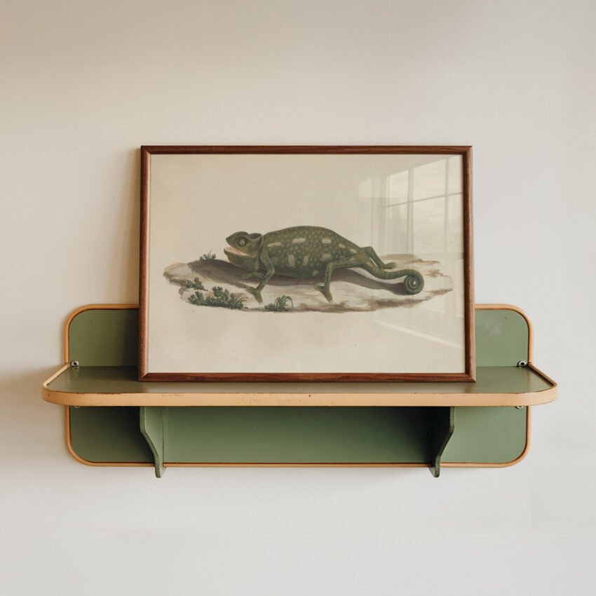 Chameleon by Luigi Balugani - Image 3