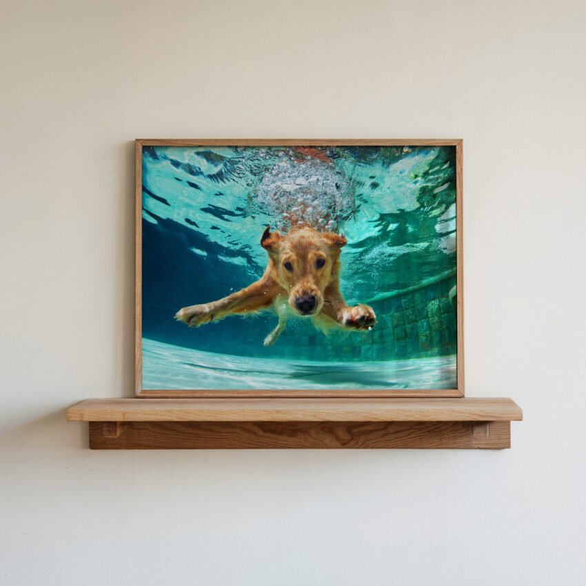 Swimming Dog - Image 2