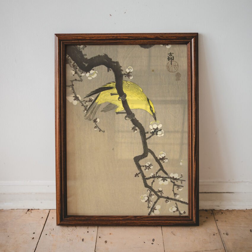 Chinese Golden Oriole on Plum Blossom Branch by Ohara Koson - Image 3
