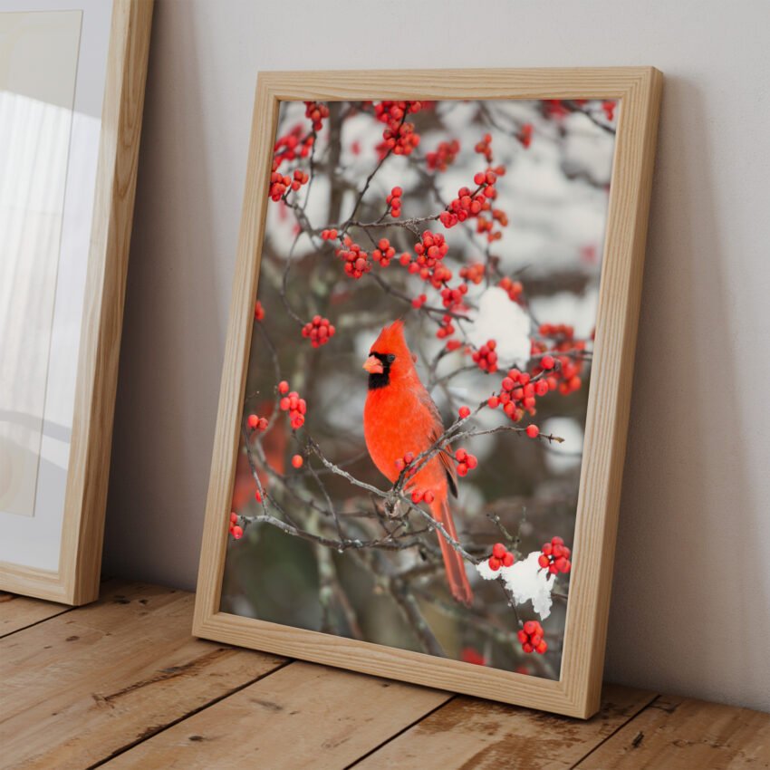 Cardinal in Winter - Image 2