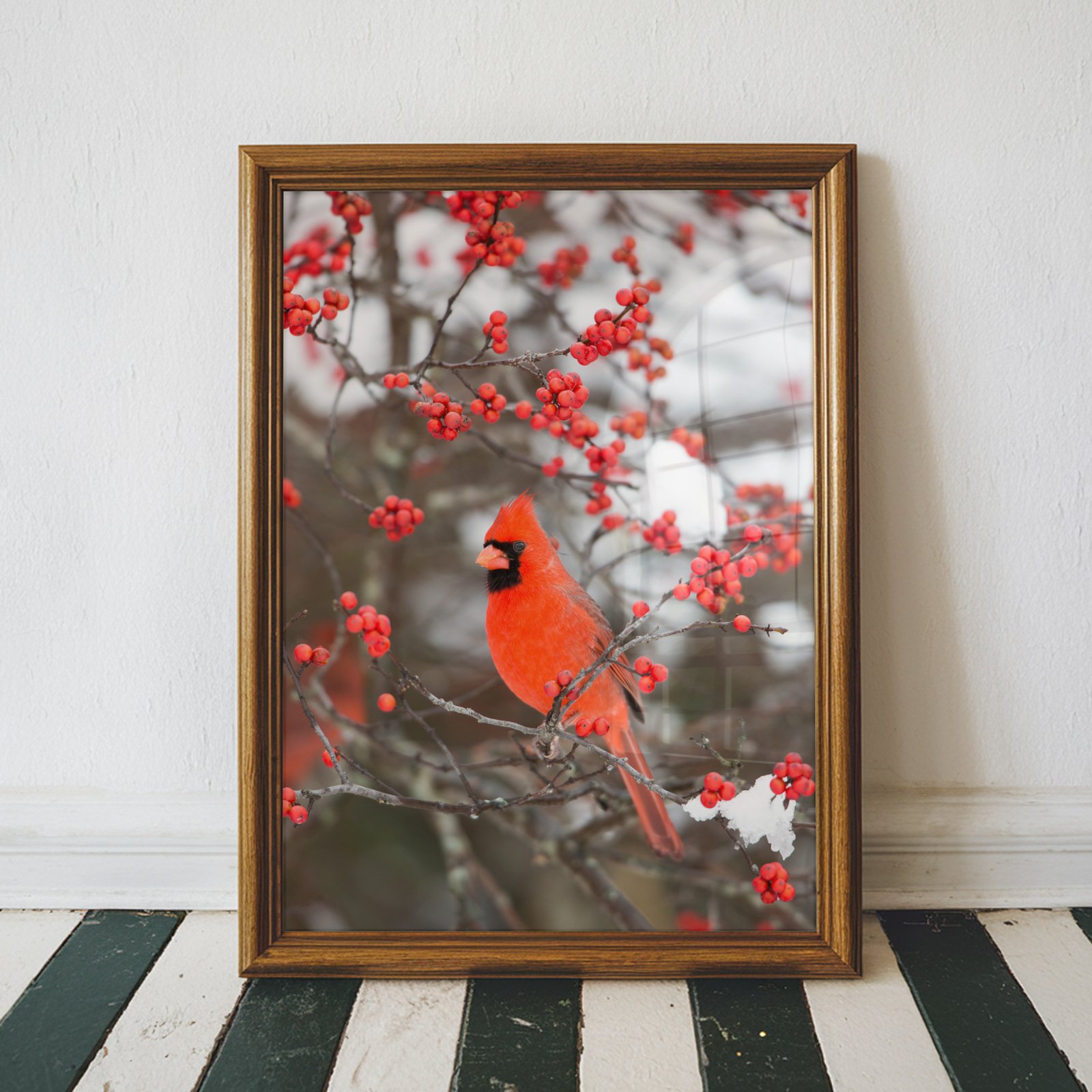 Cardinal in Winter