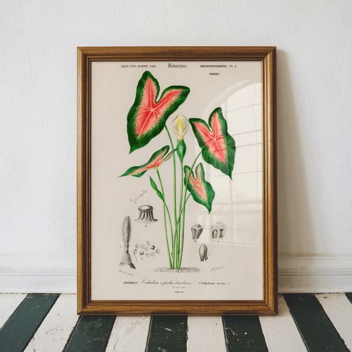 Frame Mockup 25 by Sunhund copy